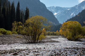 autumn in the mountains