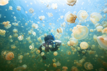 Fototapeta na wymiar Man snorkeling in Jellyfish lake, Palau.
