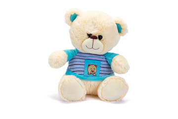Teddy bear seated on white background.