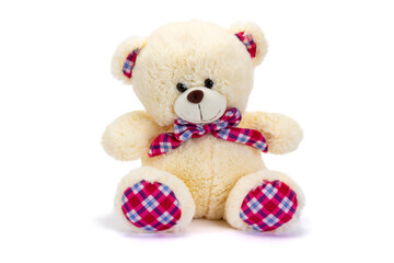 Teddy bear seated on white background.