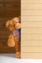 Teddy bear standing indoors