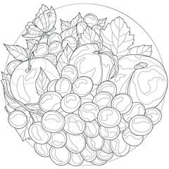 Fototapeta premium Fruits. Grapes, peaches and a butterfly.Coloring book anti-stress design for children and adults. Illustration isolated on white background.Black and white drawing. Zentangle style.