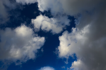 White cotton wool clouds on a sunny day. A continuous stream of clouds across the summer sky.