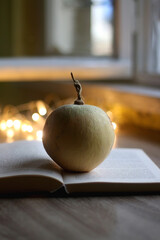 Small pumpkin, open book and fairy lights. Selective focus.