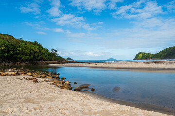 River, ocean and forest in Brazil: a view from paradise!
