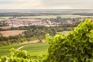Weinregion Franken Panorama Oberschwarzach mit Weinreben im Vordergrund - obrazy, fototapety, plakaty