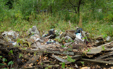 Obraz premium Garbage in the forest. Ecologic problem.