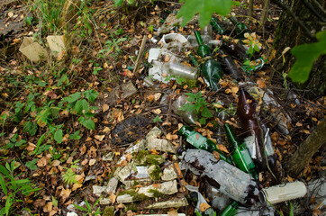 Obraz premium Garbage in the forest. Ecologic problem.