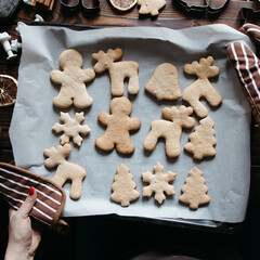 Woman hands holding homemade gingerbread cookies