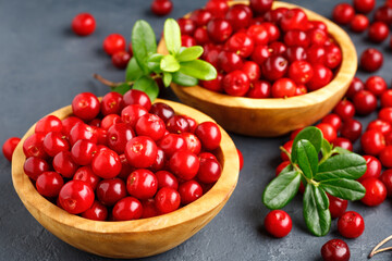 Red wild forest berry - lingonberry or cowberry