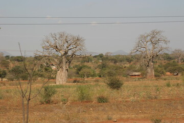 Kenya