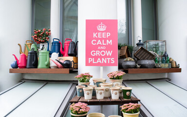 Composition of flowers in multicolored ceramic pots, figures, bright watering cans and wooden boxes and pink poster: Keep calm and grow plants. Garden festival