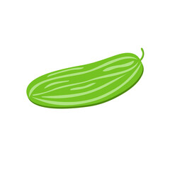 Ripe green cucumber on a white background. Vegetable. Illustration.
