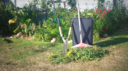 ramassage de déchets de jardinage et recyclage en automne