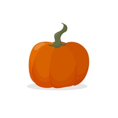 Pumpkin on an isolated white background in classic autumn colors. The concept of autumn harvest, Thanksgiving