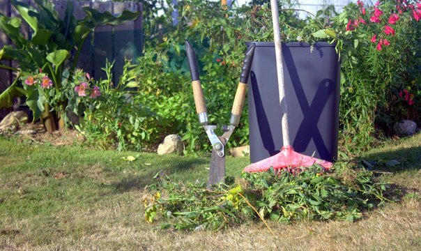ramassage de d&eacute;chets de jardinage et recyclage en automne