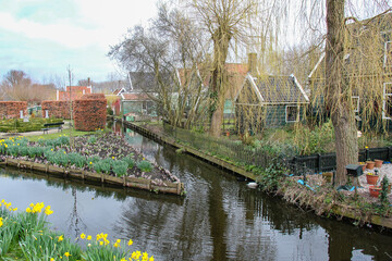 canal and houses in amsterdam 