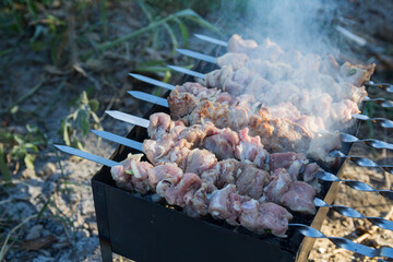 Closeup photo of kebab, which is fried on the grill in the camp at sunset. Smoke rises from the grill.