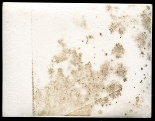 Old vintage texture paper, background