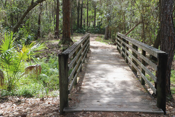 Wooden bridge On nature trail