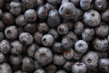 Juicy ripe blueberries close-up. Blueberry background. Berry composition.