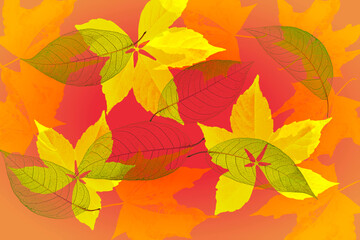 Fototapeta na wymiar Abstract texture with autumn yellow leaves. Background 