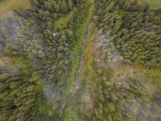 Aerial view of narrow river in green valley in Swiss alps. Small river flowing through forest in alpine mountains.