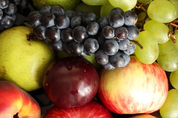 Ripe, juicy bunches of grapes, plums, apples, pears and peaches. Fruit and berry composition. Summer fruits and berries. 