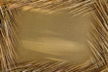 Ears of ripe rye on a Golden net in the sun. A frame in the form of rye ears spread out on the sides with a place for the text.