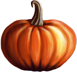 Pumpkin Colorful hand drawn illustration. Symbol of Halloween and Thanksgiving celebration