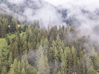 Aerial view of mist and fog in mountain forest in Switzerland. Conifer canopy in alpine area.