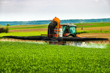 Fototapeta premium Farmer in tractor spraying green wheat field