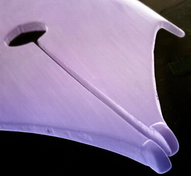 Microscopic view of pen nib