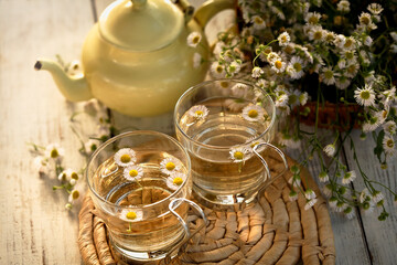 fresh organic chamomile tea with glass cups