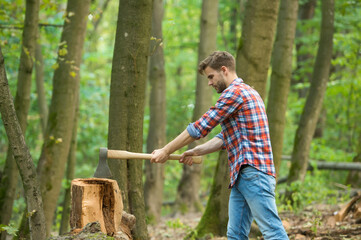 woodsman cut tree stump with ax, outdoor