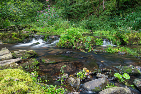 Creek Gue la Warche (english Gue la Warche) in the Belgium Eifel  parknear Ovifat, Robertville and Spa. An area ideal for active sports like hiking, mountainbiking or enjoy the water for a swim.