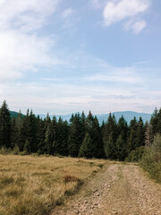 Fototapeta na wymiar Beautiful landscape in the Carpathians