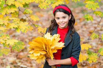 retro girl gather yellow maple leaves, nature