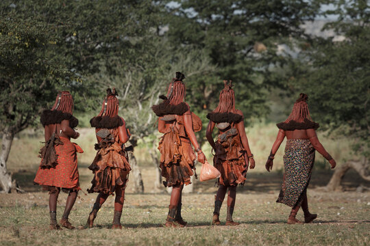Group of Himba women walking away, rear view, Namibia, Africa