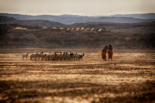 Two herders conversing in front of their flock, Lac Abbe, Djibouti, Africa