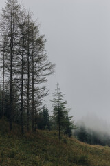 Beautiful landscape in the Carpathians