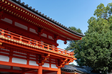 Fototapeta premium 八坂神社