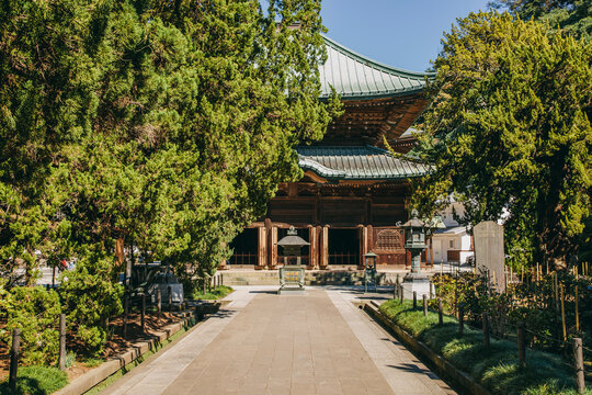 Kenchoji Temple, Kamakura, Japan