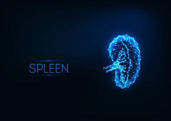 Futuristic glowing low polygonal human spleen hologram isolated on dark blue background.