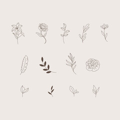 Botanical logo element