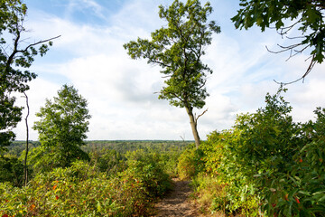 Landscape along the sandy trails of Dunes Ridge Trail on a beautiful late summer morning.  Indiana Dunes National Park, Indiana, USA