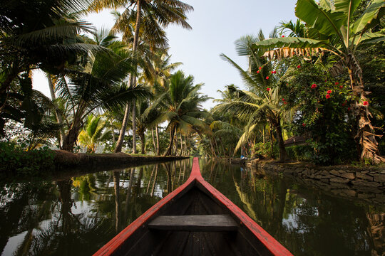 Rowing boat and palm trees on Kerala backwaters, Kollam, Kerala, India