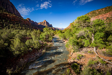  Watchman mountain and the Virgin river in Zion National Park located in the Southwestern United States, near Springdale, Utah, Arizona..dng