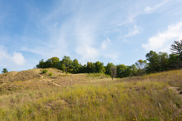 Fototapeta premium Landscape along the sandy trails of Dunes Ridge Trail on a beautiful late summer morning. Indiana Dunes National Park, Indiana, USA