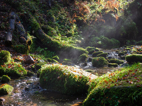 Bad Liebenzell - Monbachtal 